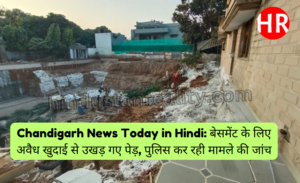 Chandigarh News Today in Hindi: Trees uprooted due to illegal digging for basement, police is investigating the matter