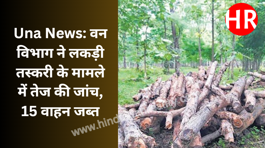 Una News: Forest department intensifies investigation in wood smuggling case, 15 vehicles seized