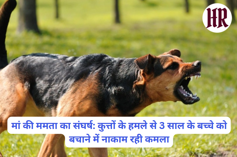 Himachal Hindi News Today: Struggle of mother's love: Kamala failed to save 3-year-old child from dog attack