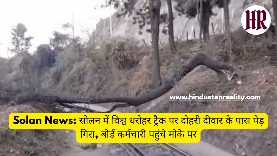 Solan News: Tree fell near double wall on World Heritage Track in Solan, board employees reached the spot